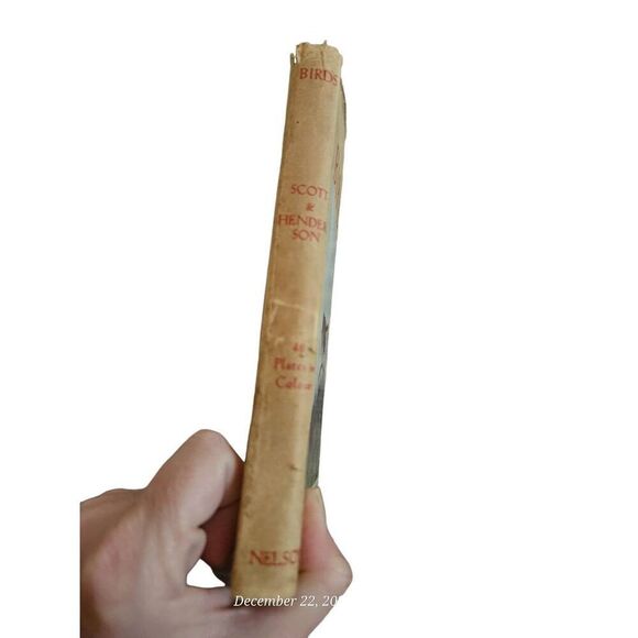 Birds shown series Scott & henderson by Thomas Nelson & sons Ltd books - Picture 3 of 5